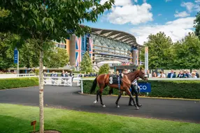 Private viewing enclosure in the centre of the track, the perfect spot to watch the Royal Procession