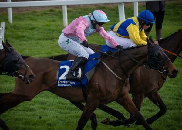 Jonjo Oniell Jr at Cheltenham