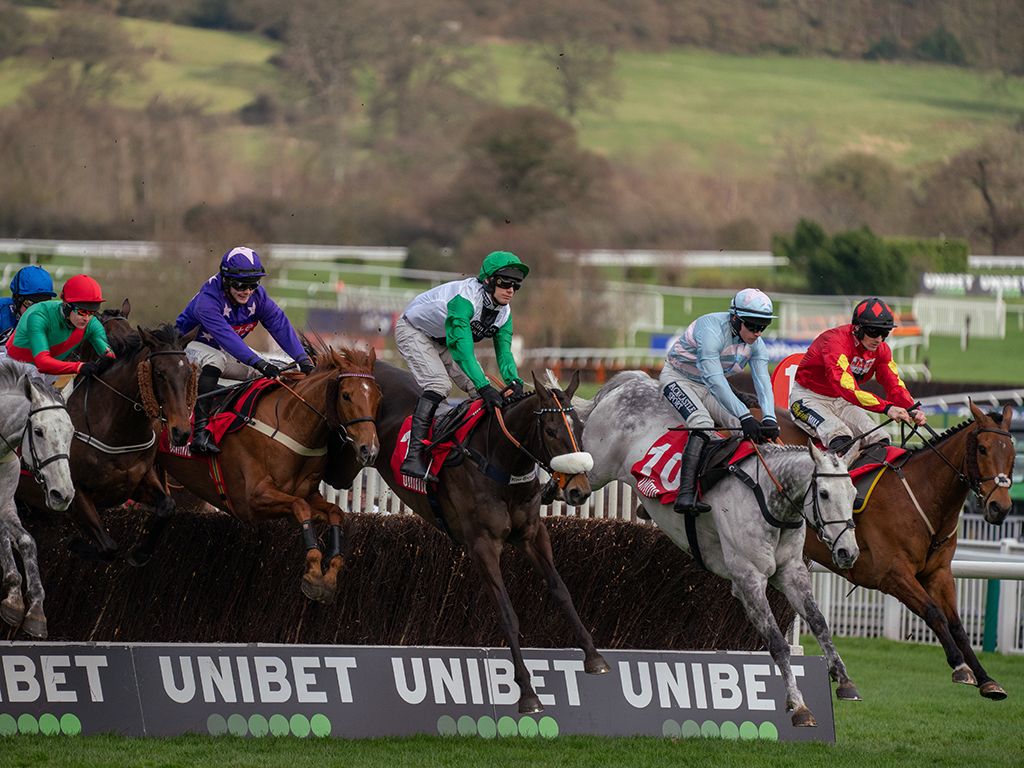 The Cheltenham Festival 2021 | In Review