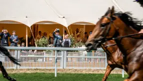 Royal Enclosure admission