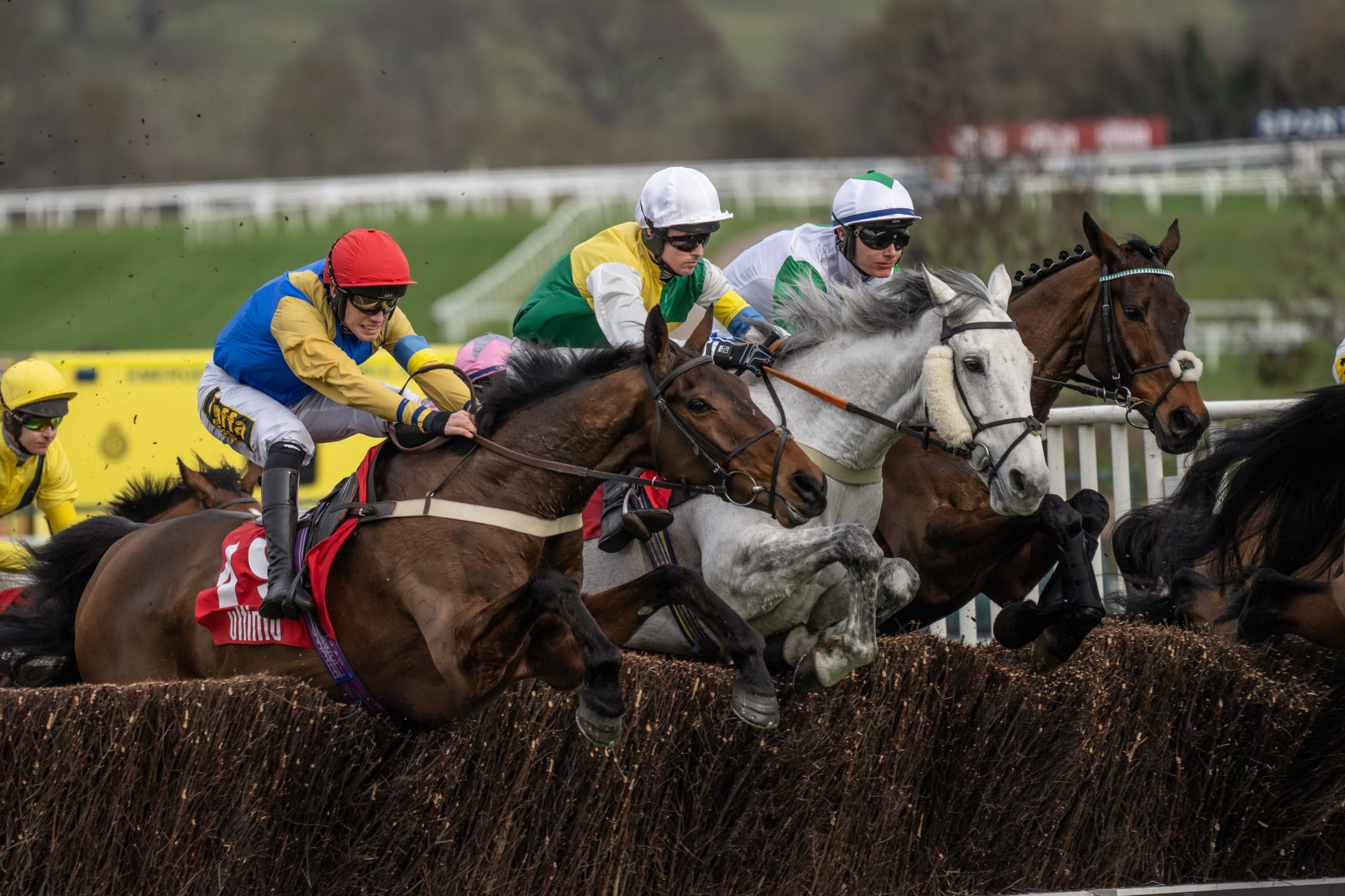 A Guide To The Race Schedule at The Cheltenham Festival 2025