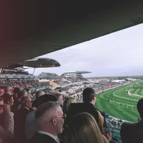 The Green Room