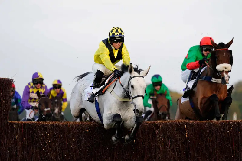 Hospitality Finder Horse Racing VIP & Hospitality Packages for the Royal Ascot - Banner Image Wednesday
