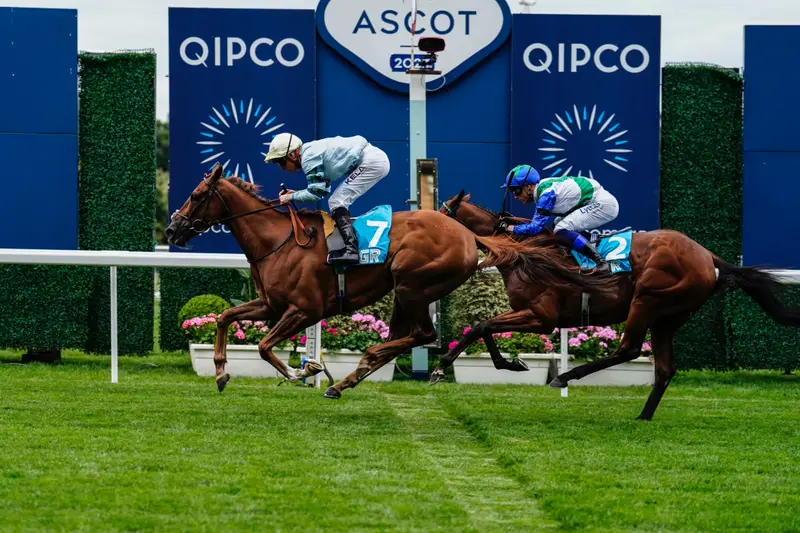 Hospitality Finder Horse Racing VIP & Hospitality Packages for the Royal Ascot - Banner Image Opening Day