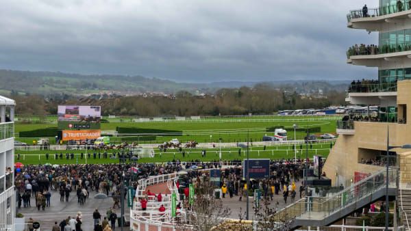 Hospitality finder breaks down the incoming changes to Cheltenham Festival