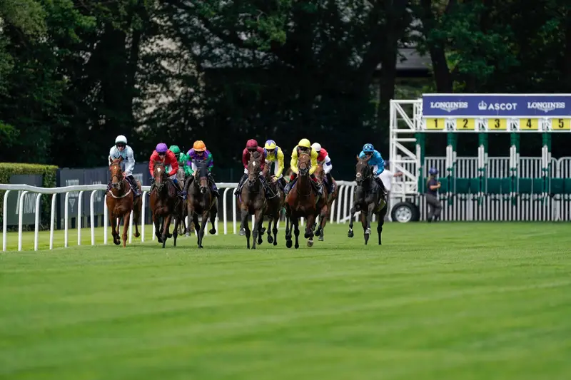 Hospitality Finder Horse Racing VIP & Hospitality Packages for the Royal Ascot - Banner Image Ladies Day