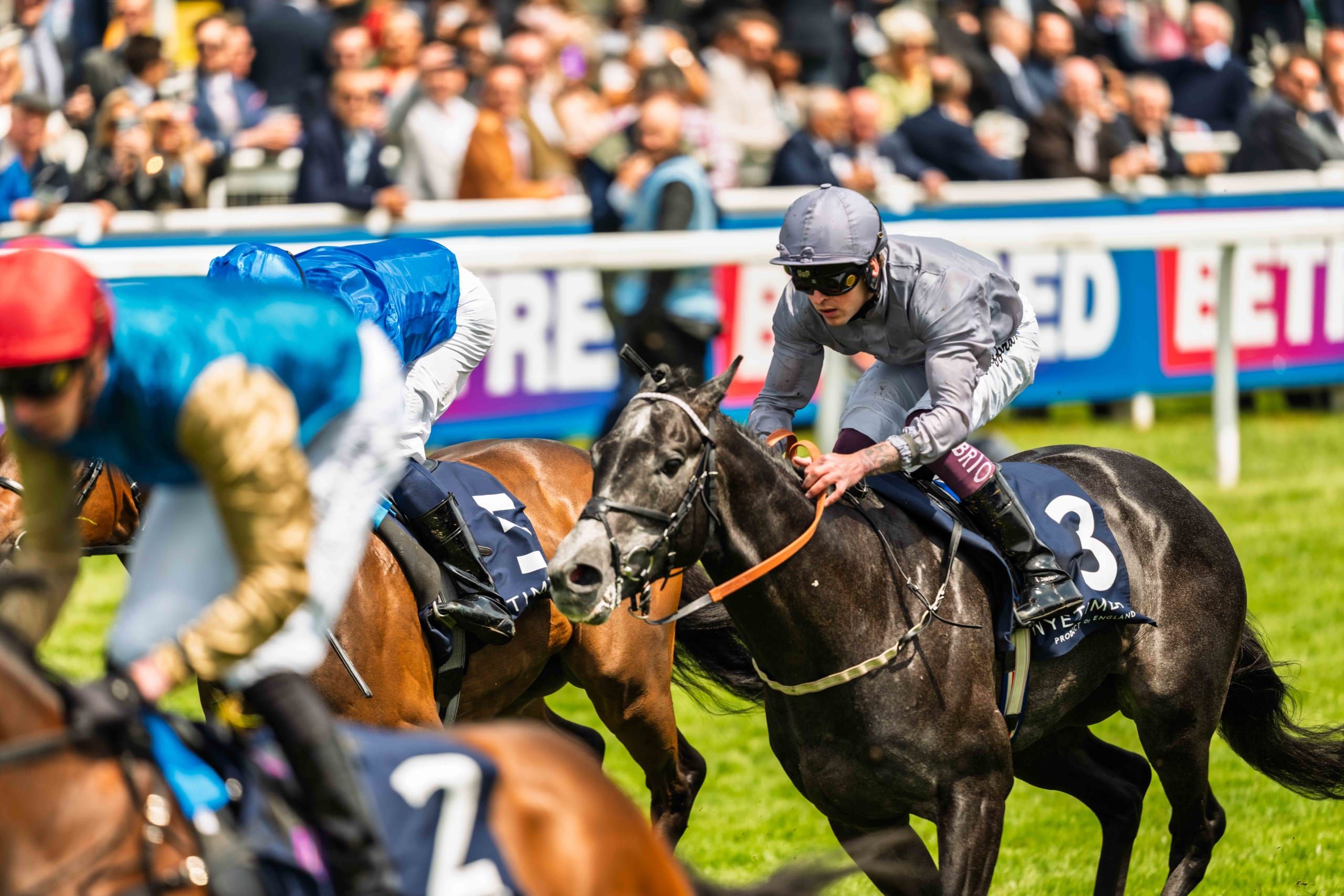Jump Racing vs Flat Racing