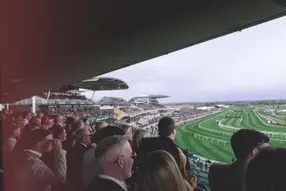 Expert insight from Sir AP McCoy OBE & Jonjo O’Neill Jr