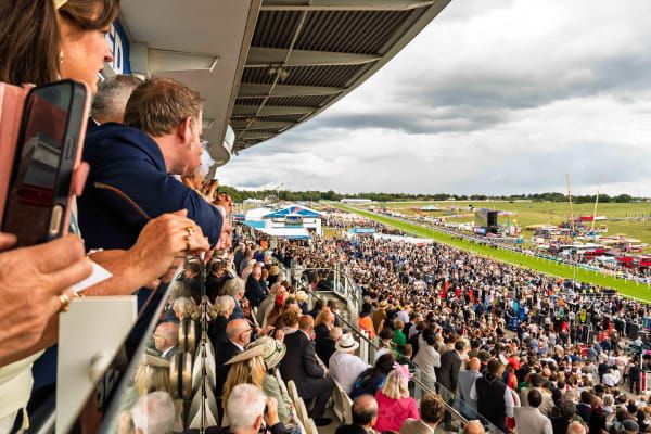 Hospitality Finder guests view from the Duchess Stand - Epsom Derby