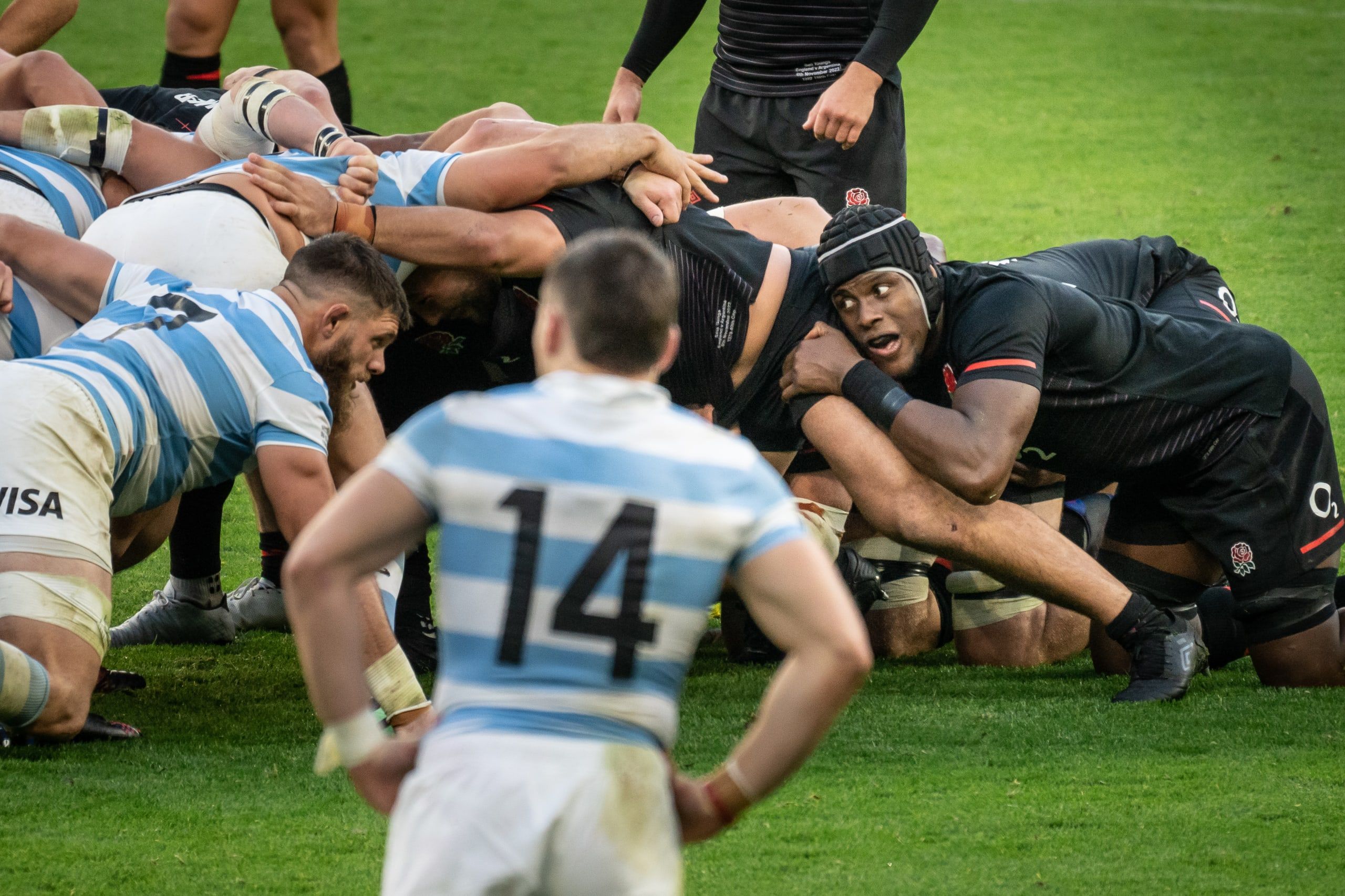 England v Argentina | Review of The Green Room at Allianz Stadium, Twickenham