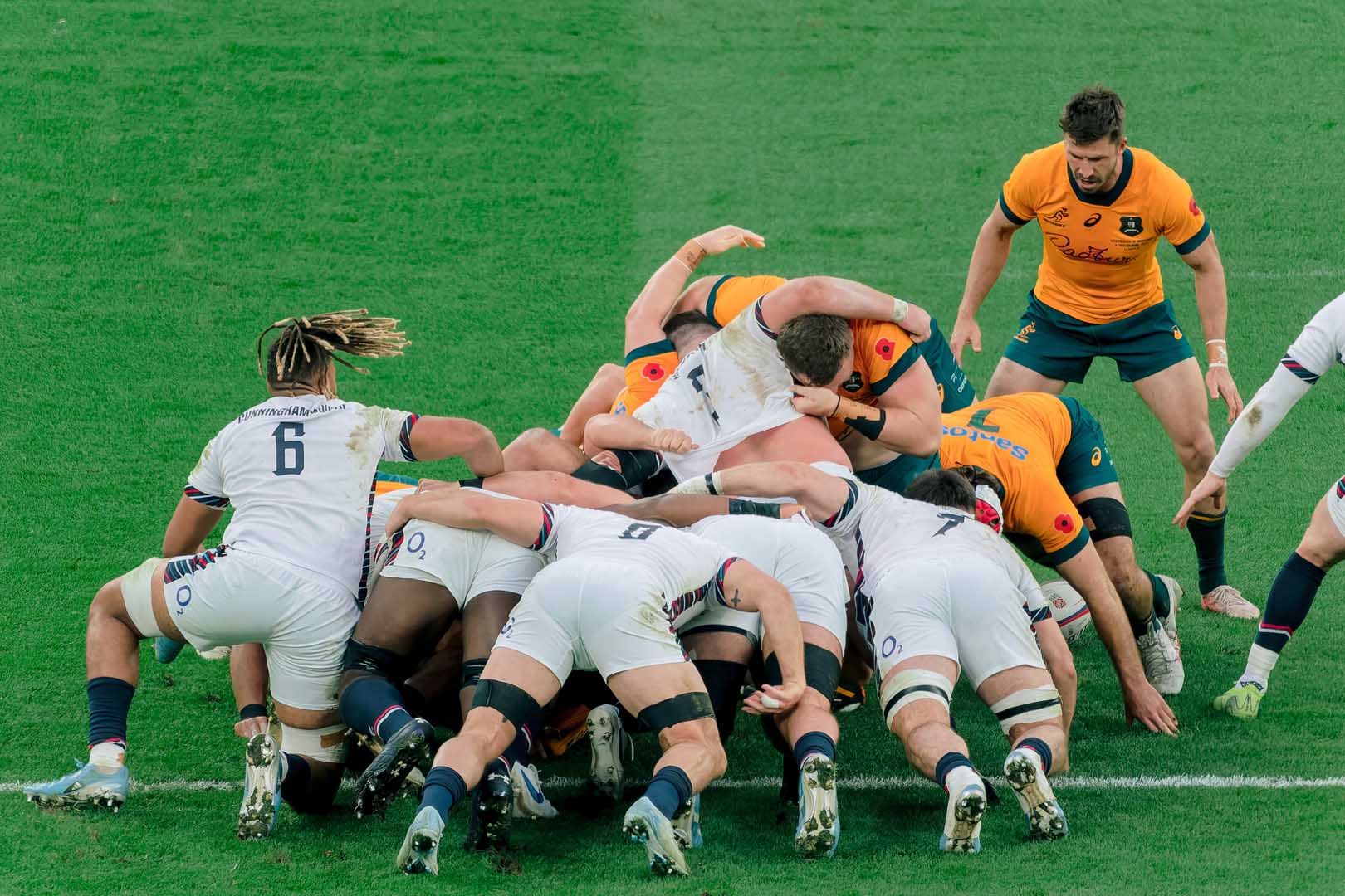 Autumn Nations Series 2025: Preview